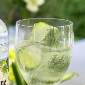 Meet your Posher, Dina